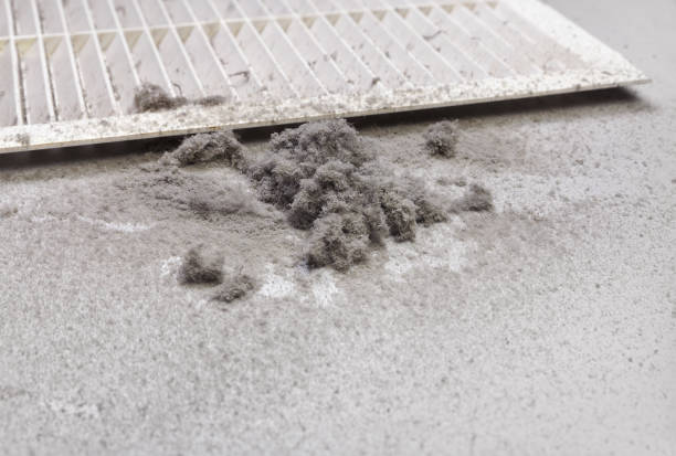Best Air Duct Cleaning Cost  in Ridley Rk, PA